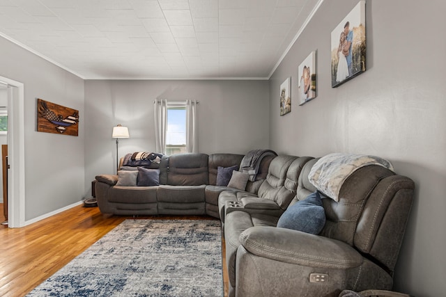 207 N E Ave, Ogden, IL 61859 - living area featuring crown molding, wood finished floors, and baseboards