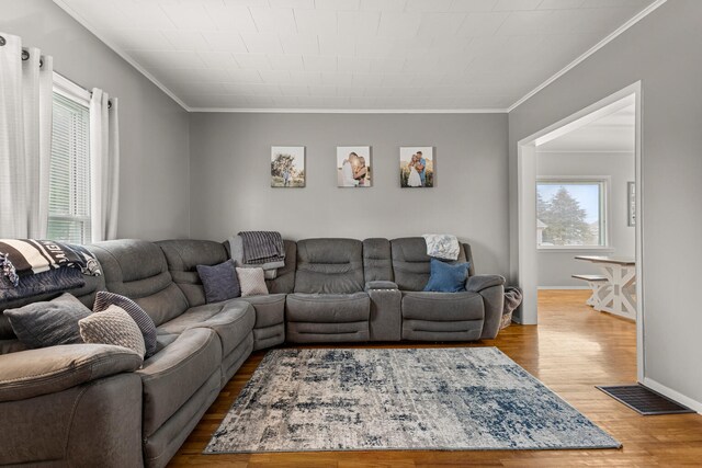207 N E Ave, Ogden, IL 61859 - living room with plenty of natural light, wood finished floors, ornamental molding, and baseboards