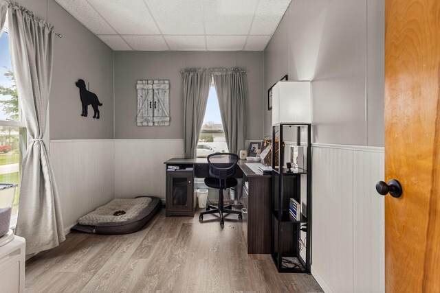 207 N E Ave, Ogden, IL 61859 - office space featuring a paneled ceiling, a wainscoted wall, wood finished floors, and healthy amount of natural light