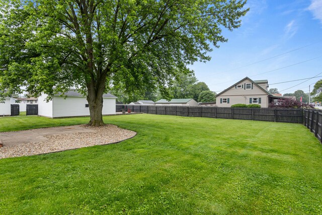 207 N E Ave, Ogden, IL 61859 - view of yard