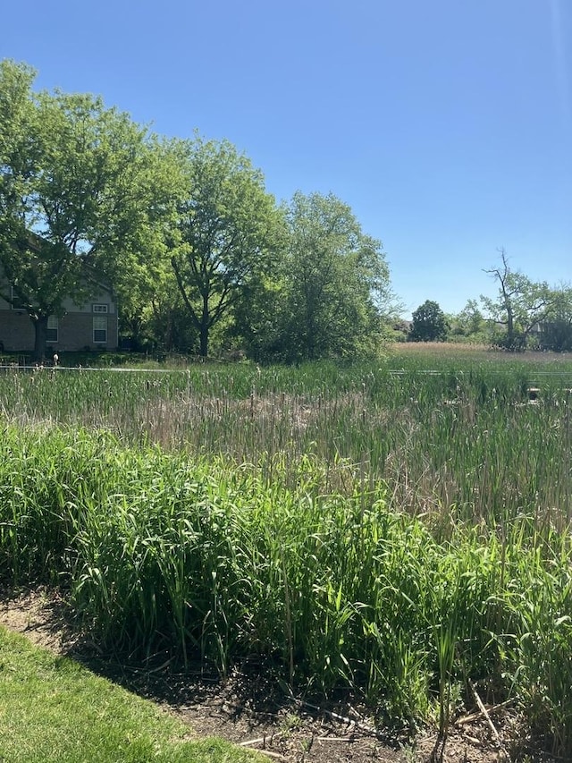 1926 Grove Ave, Schaumburg, IL 60193 - view of yard featuring a rural view