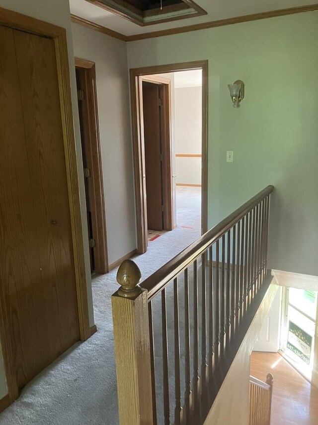 1926 Grove Ave, Schaumburg, IL 60193 - stairway featuring ornamental molding and carpet flooring