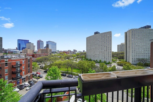 1935 S Archer Ave Unit 622, Chicago, IL 60616 - view of city skyline