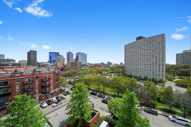 1935 S Archer Ave Unit 622, Chicago, IL 60616 - view of city skyline