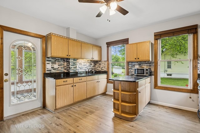 374 E Crystal Lake Ave, Crystal Lake, IL 60014 - kitchen featuring stainless steel microwave, open shelves, decorative backsplash, light wood finished floors, and baseboards