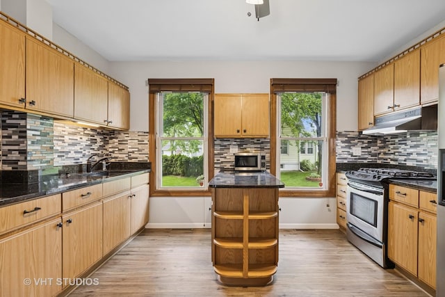 374 E Crystal Lake Ave, Crystal Lake, IL 60014 - kitchen featuring stainless steel appliances, a sink, under cabinet range hood, and light wood-style flooring