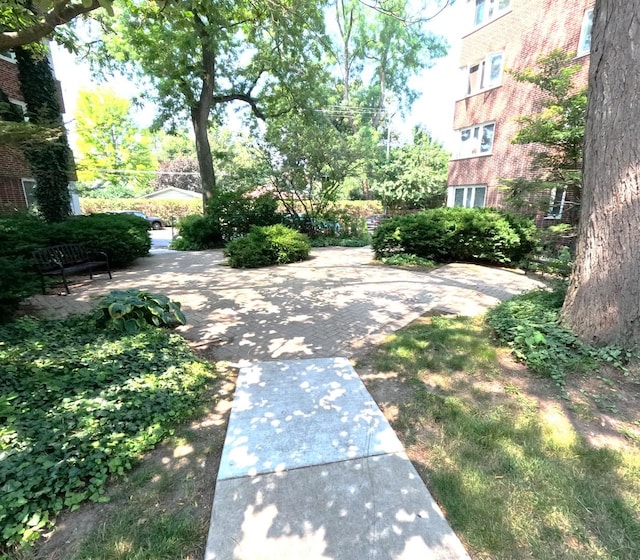 7200 Oak Ave, River Forest, IL 60305 - photo 14
