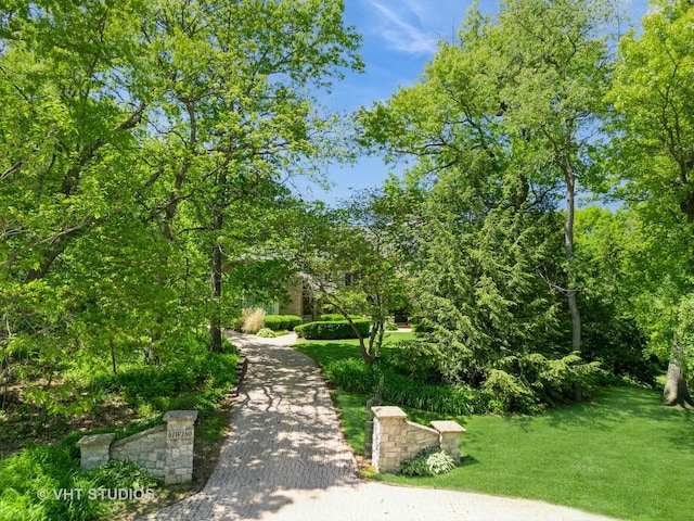 41W180 Highwood Ct, Elburn, IL 60119 - surrounding community featuring a yard