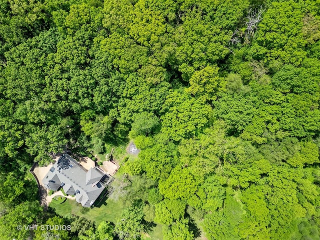 41W180 Highwood Ct, Elburn, IL 60119 - aerial view of a heavily wooded area
