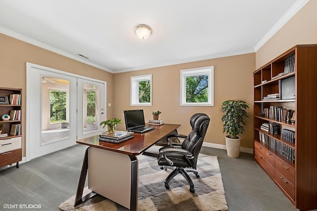 41W180 Highwood Ct, Elburn, IL 60119 - home office featuring ornamental molding, carpet floors, and french doors