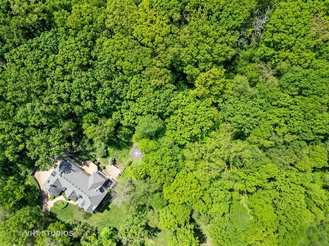 41W180 Highwood Ct, Elburn, IL 60119 - aerial view of a heavily wooded area