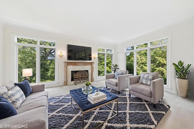 41W180 Highwood Ct, Elburn, IL 60119 - living room featuring ornamental molding, healthy amount of natural light, a fireplace, and wood finished floors