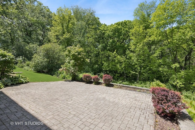 41W180 Highwood Ct, Elburn, IL 60119 - view of patio / terrace with a view of trees