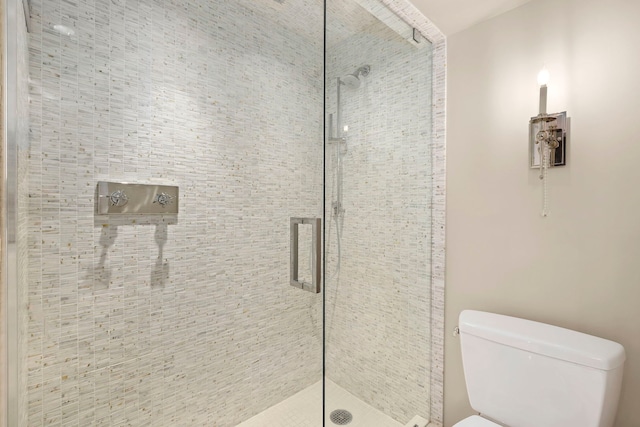 3200 N Lake Shore Dr Unit 2905, Chicago, IL 60657 - bathroom featuring a shower stall and toilet