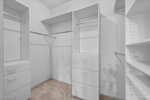324 Torrington Dr, Bloomingdale, IL 60108 - view of spacious closet