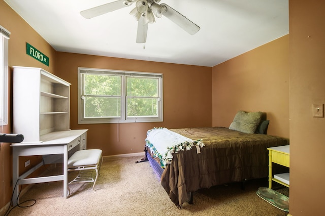 343 S Gilbert St, South Elgin, IL 60177 - photo 12