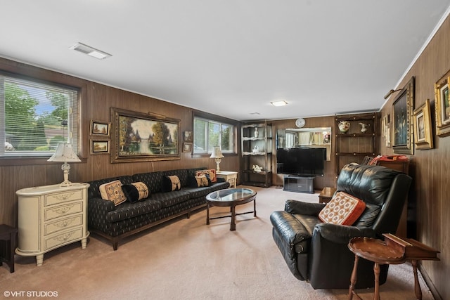 9047 Crawford Ave, Skokie, IL 60076 - living room featuring wooden walls and carpet flooring