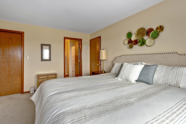 13750 S Bristlecone Dr Unit 408, Plainfield, IL 60544 - bedroom featuring carpet floors and baseboards