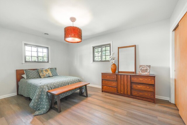 480 W Kennedy Rd, Braidwood, IL 60408 - bedroom featuring multiple windows, wood finished floors, baseboards, and a closet