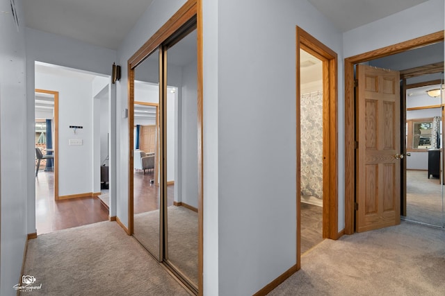 1245 W Lotus Ln, Kankakee, IL 60901 - hallway with carpet flooring and baseboards