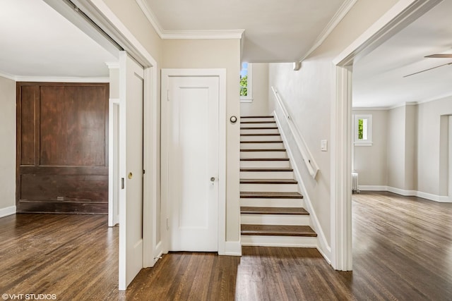 1310 Larkin Ave, Elgin, IL 60123 - stairs featuring wood finished floors, a ceiling fan, baseboards, and ornamental molding