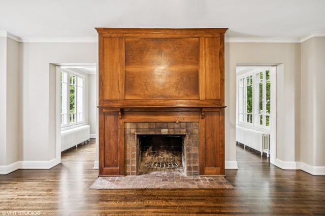 1310 Larkin Ave, Elgin, IL 60123 - detailed view of radiator heating unit, wood finished floors, crown molding, and baseboards