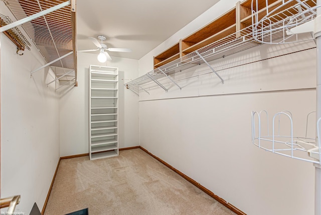 18633 Swan Dr, Mokena, IL 60448 - walk in closet featuring a ceiling fan and carpet flooring
