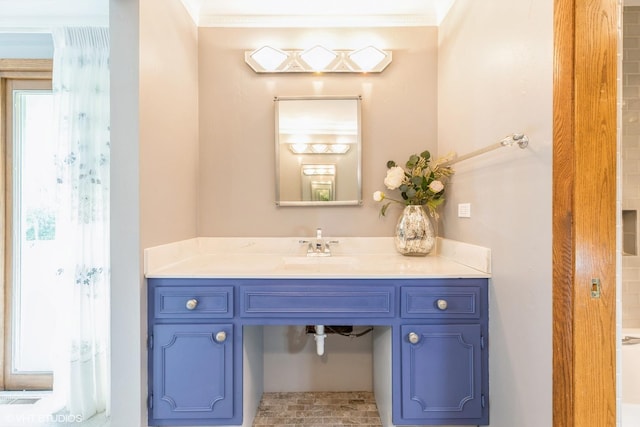 69 Graymoor Ln, Olympia Fields, IL 60461 - bathroom featuring vanity