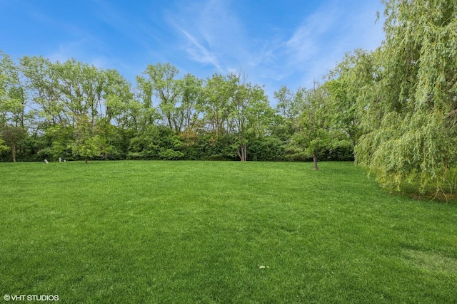 69 Graymoor Ln, Olympia Fields, IL 60461 - view of grassy yard