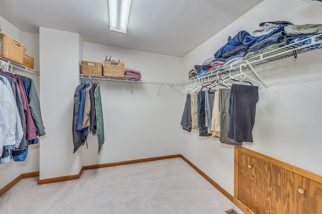 3368 Charlemaine Dr, Aurora, IL 60504 - spacious closet with light carpet