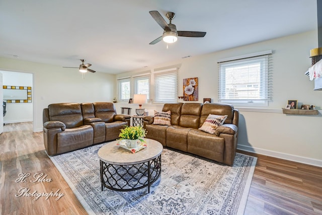 1109 Needham Rd, Naperville, IL 60563 - living area featuring ceiling fan, healthy amount of natural light, and wood finished floors