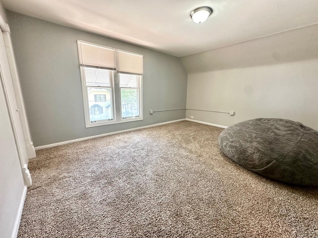 370 N St, Elgin, IL 60120 - bonus room featuring carpet floors and vaulted ceiling