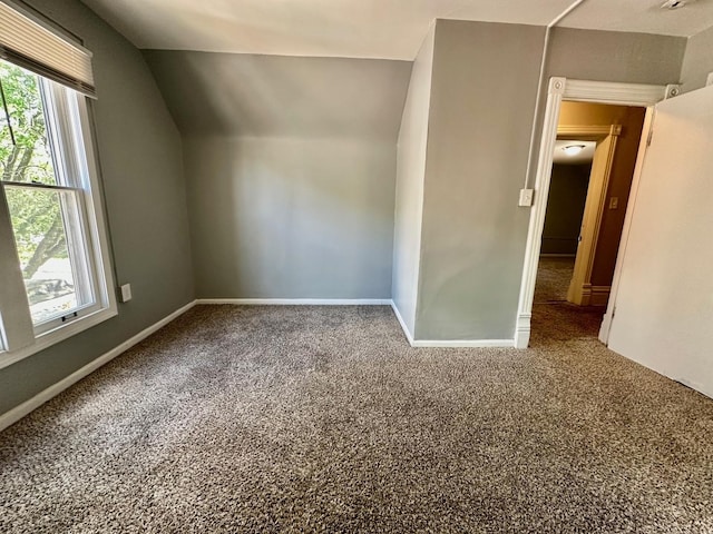 370 N St, Elgin, IL 60120 - additional living space with plenty of natural light, carpet floors, and vaulted ceiling