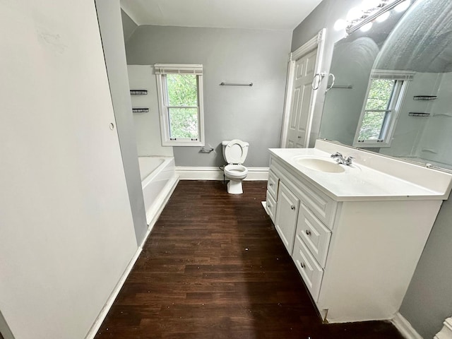 370 N St, Elgin, IL 60120 - bathroom with wood finished floors, vanity, a bath, and lofted ceiling