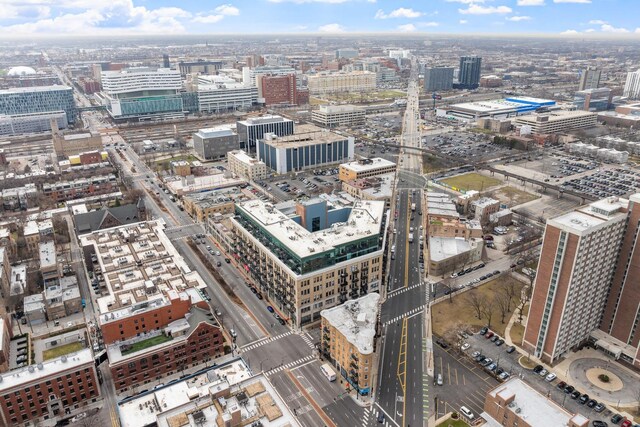 1645 W Ogden Ave Unit 304, Chicago, IL 60612 - view of city