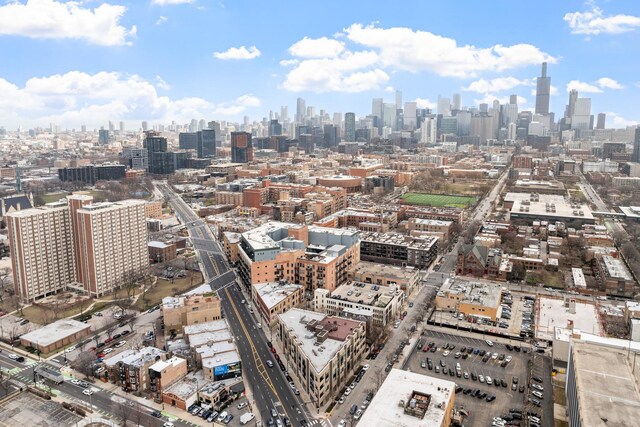 1645 W Ogden Ave Unit 304, Chicago, IL 60612 - view of city skyline