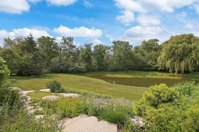 34 Abbey Woods Dr, Barrington, IL 60010 - photo 53
