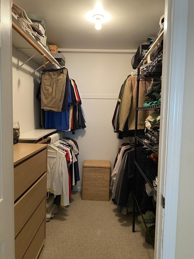 17612 71st Ct Unit 1N, Tinley Park, IL 60477 - walk in closet featuring carpet floors