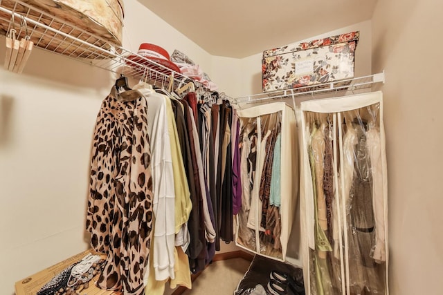 5555 N Cumberland Ave Unit 309, Chicago, IL 60656 - view of walk in closet