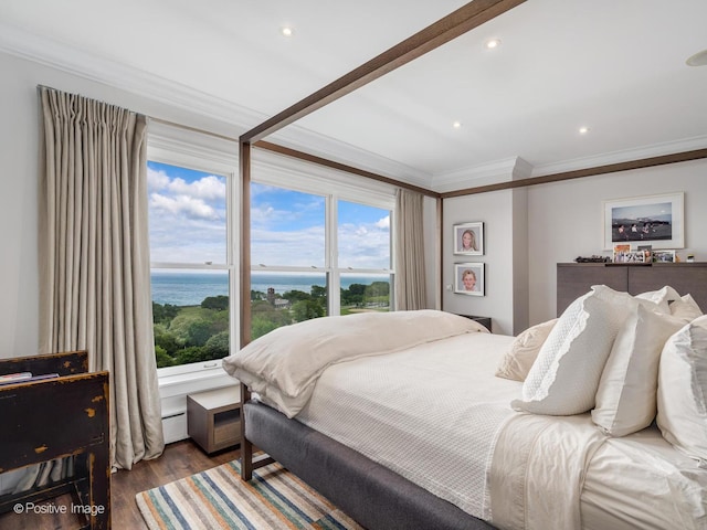 3920 N Lake Shore Dr Unit 12N, Chicago, IL 60613 - bedroom featuring ornamental molding, a water view, wood finished floors, a baseboard radiator, and recessed lighting