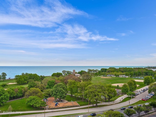 3920 N Lake Shore Dr Unit 12N, Chicago, IL 60613 - bird's eye view of a large body of water