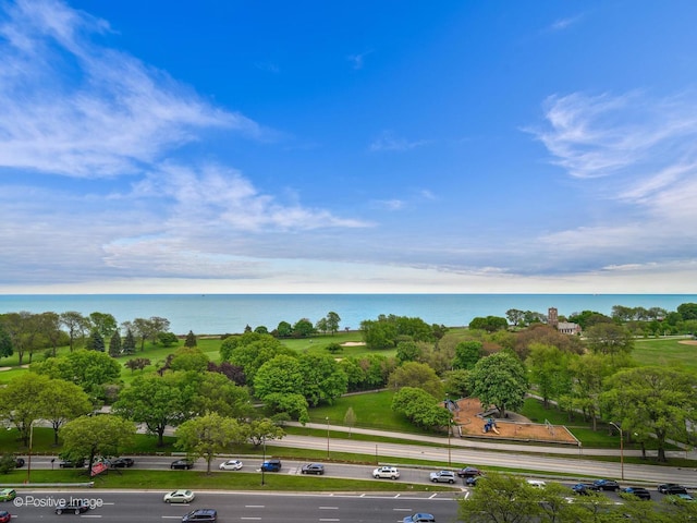 3920 N Lake Shore Dr Unit 12N, Chicago, IL 60613 - water view