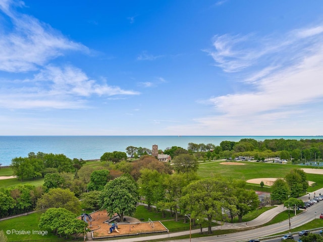 3920 N Lake Shore Dr Unit 12N, Chicago, IL 60613 - drone / aerial view of a large body of water and a tree filled landscape