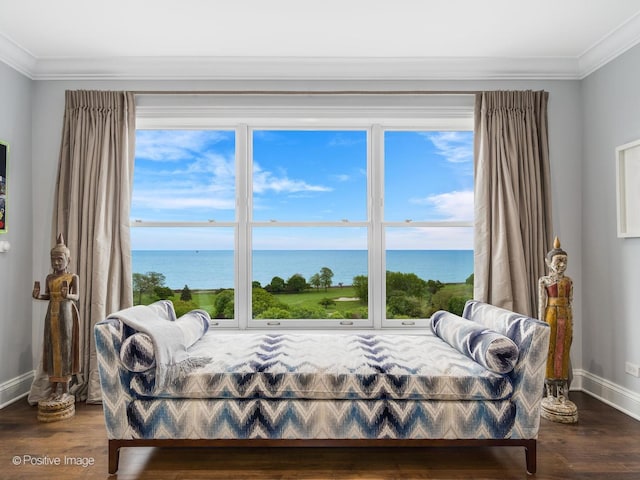 3920 N Lake Shore Dr Unit 12N, Chicago, IL 60613 - bedroom with crown molding, multiple windows, dark wood-style flooring, and a water view