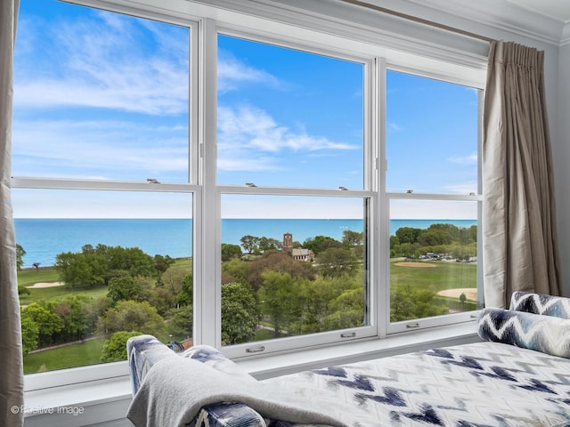 3920 N Lake Shore Dr Unit 12N, Chicago, IL 60613 - bedroom featuring a water view and ornamental molding