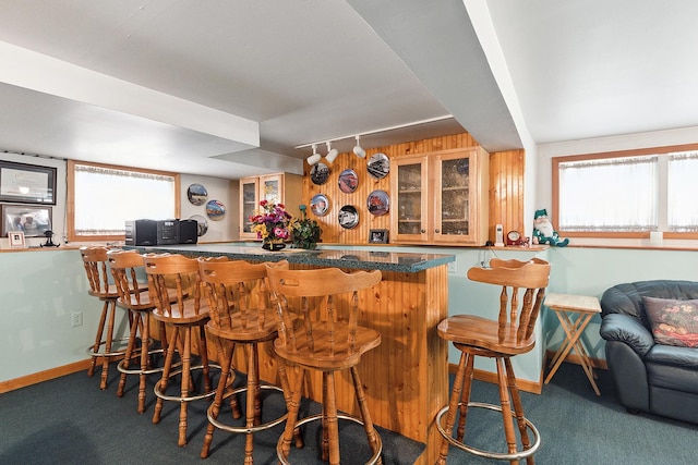 3840 S Wolcott Ave, Chicago, IL 60609 - indoor dry bar with carpet floors, baseboards, and track lighting