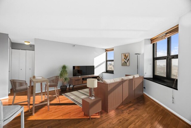 3660 N Lake Shore Dr Unit 2712, Chicago, IL 60613 - living area featuring hardwood / wood-style floors and baseboards