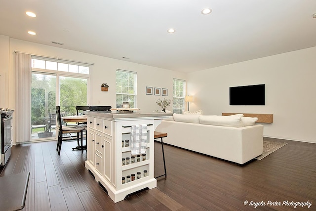 2624 Evergreen Cir, Mchenry, IL 60050 - living area with dark wood finished floors and recessed lighting
