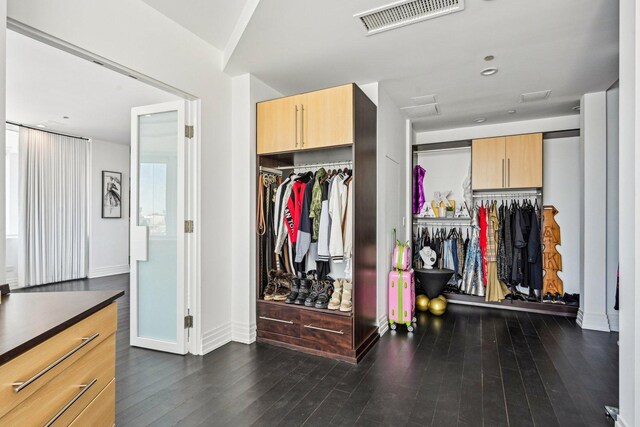600 N Kingsbury Ave Unit 506, Chicago, IL 60610 - spacious closet with dark wood-style flooring