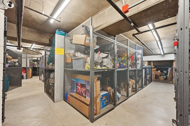 600 N Kingsbury Ave Unit 506, Chicago, IL 60610 - view of storage area